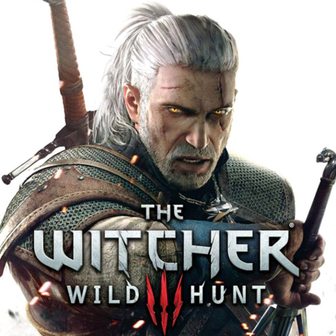 The Witcher 3: Wild Hunt, Software